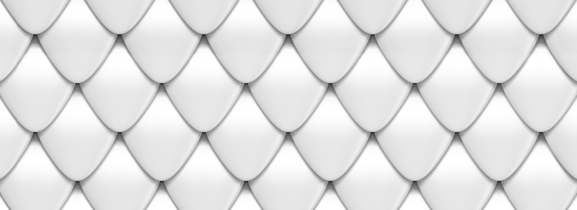 Contact Background